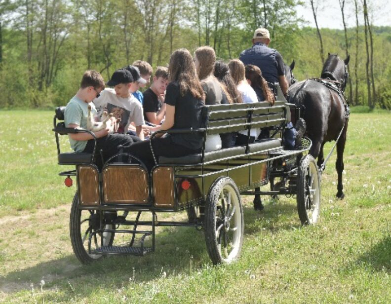 Izvješće o terenskoj nastvi Našice, Feričanci na web OŠ Jabukovac Zagreb